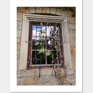 A pumpkin is hanging in the window Posters and Art